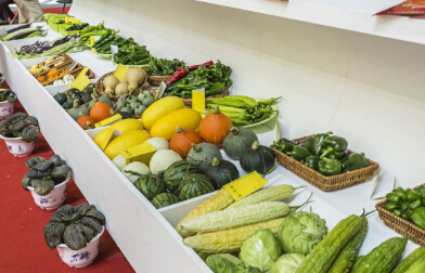 處理食品進口報關申報你還有很多需要學