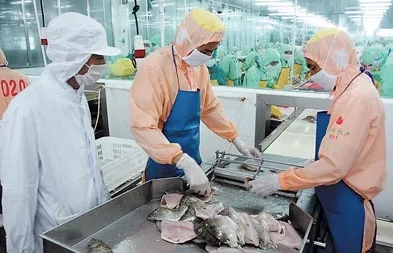 食品進口報關有哪些關鍵點和注意事項？