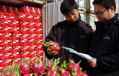 關於食品進口報關你應該知道的幾點知識