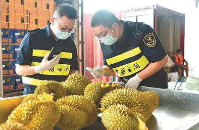水果進口都要注意哪些問題？進口報關都需要哪些資料？